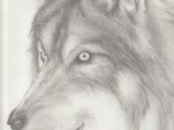 Easy River Drawing Pin On Wolves where I Draw My Strength