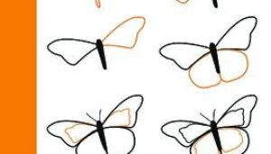 Easy to Draw butterfly Step by Step How to Draw A Monarch butterfly butterfly Drawing