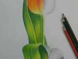 Easy Watercolor Pencil Drawings Medium Pencil Colors Color Pencil Sketch Pencil