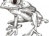 Easy Way to Draw A Frog Pin On My Art