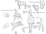 Easy Way to Draw Animals 25 Beautiful Animal Drawings for Your Inspiration How to