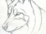 Easy Werewolf Drawing Pinterest