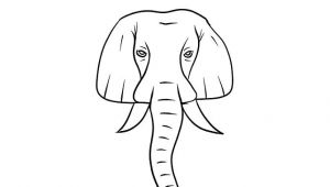Elephant Pictures Easy to Draw Draw An Elephant Easy Cartoon Drawings Elephant Images