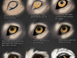 Eyes Drawing Png Wolf Eye Tutorial by themysticwolf Deviantart Com On Deviantart