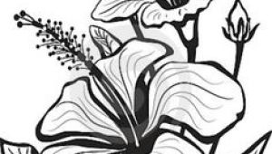 Flowers Drawing Graphic 1412 Nejlepa A Ch Obrazka Z Nasta Nky Flower Drawings Drawings