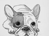 French Bulldog Drawing Easy I Challenged Myself to Draw 30 Dogs In 30 Days Bulldog
