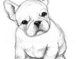 French Bulldog Drawing Easy Just A Quick Sketch Of A French Bulldog Puppy On A Sunday
