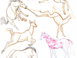 Gesture Drawings Of Animals Horse and Deer Studies by S Tygian Deviantart Com On