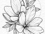Handmade Drawing Flowers Lily Flowers Drawings Flowers Madonna Lily by Syris Darkness