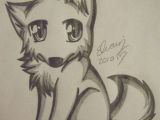How to Draw A Cute Wolf Easy Pin by Tristan Stanton On Husky Cute Wolf Drawings