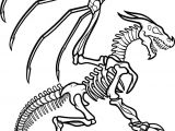 How to Draw A Easy Cute Dragon Dragon Skeleton How to Draw Manga Anime Cartoon Dragon