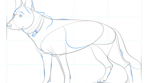 How to Draw A German Shepherd Easy How to Draw A German Shepherd Dog Step by Step Drawing