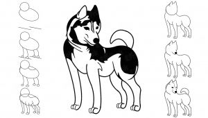 How to Draw A Husky Easy Instructions How to Draw A Dog Husky