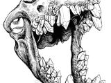How to Draw Animal Skulls Crystal Teeth Animal Skulls Skull Art Sketches