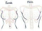 How to Draw Anime Pants Includes Skeletal Structure Guy Drawing Drawings Drawing