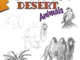 How to Draw Desert Animals Draw Desert Animals by Doug Dubosque Amazon Ae