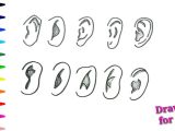 How to Draw Ears Anime Como Dibujar orejas Anime How to Draw Anime Ears