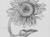 How to Draw Easy Sunflower How to Draw A Sunflower Step by Step Easy Google Search