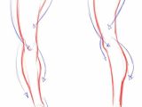Human Anatomy Easy Drawing Cartoon Legs formulathe Drawing Website the Drawing