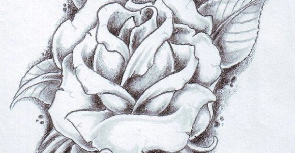 Ink Drawing Of A Rose Tatto Black Rose Tattoo Designs Ideas Photos Images Ink Rose