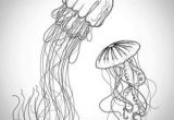 Jellyfish Drawing Easy 53 Best Jellyfish Drawing Images Marine Life Ocean Creatures