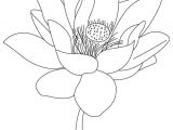Line Drawing Of Lotus Flower Free Printable Lotus Coloring Pages for Kids Flower Coloring Pages