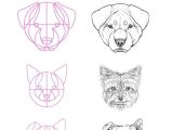 Outline Drawing Of A Wolf An Exquisite Fuck ton Of Canine References to See the Text Of the