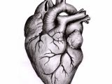 Pen Drawing Of A Heart Anatomically Correct Human Heart by Niku Arbabi Embroidery