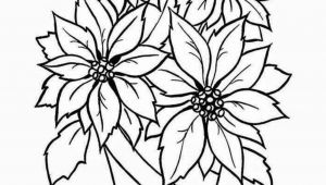 Pencil Drawing Flowers Step Step 25 Fancy Draw A Flower Helpsite Us