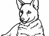 Pet Animals Images for Drawing How to Draw Puppy German Shepherd Dogs and Puppies Puppy