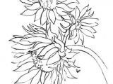 Pretty Drawings Of Flowers Easy Simple but Nice Could Be the Start Od A Good Mixed Media