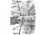 Redwood Tree Drawing Easy 6 Ways to Spruce Up Your Landscape Pencil Drawings