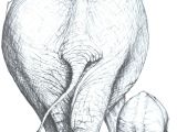 Renaissance Drawings Easy Drawings Elephant Zeichnungen Malen Und Zeichnen