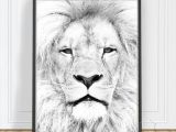 Safari Animal Drawings Lion Print Animal Wall Art Art Printable Animal Lion Art