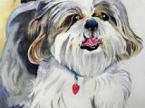 Shih Tzu Dog Drawing 23 Best Shih Tzu Images Cute Dogs Shih Tzus Dog Paintings