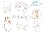 Silhouette Drawing Easy One Line Human organs Set Design Silhouette Logo Design