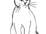 Simple Drawing Of A Cat Face 300 Best Drawing Cats Images In 2019 Draw Animals Cat