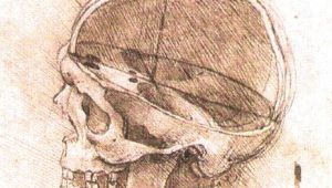 Skull Drawing Da Vinci File View Of A Skull Ii Jpg Wikimedia Commons