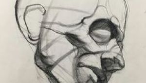 Skull Drawing Figure 175 Best Realistic Refs Images Anatomy Drawing Figure Drawing