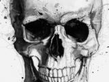 Skull Drawing Open Mouth 165628919 Skull with Wide Open Mouth Gettyimag by Johnhiggins5 Art