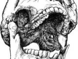 Skull Drawing Open Mouth 437 Best Skull Reference Images In 2019 Skulls Skull Bones Bones