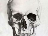 Skull Drawing Realism Skull Sketch Tattoo Pinterest Skull Sketch Drawings and Skull Art