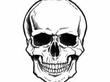 Skull Drawing Small Rave by Ark Studies In 2019 Drawings Skull Simple Skull Drawing
