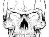 Skull Drawing with Mouth Open 165628919 Skull with Wide Open Mouth Gettyimag by Johnhiggins5 Art