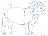 Step by Step Dog Drawing Easy How to Draw A Pug Dog Step by Step Drawing Tutorials for