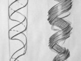 Stranger Things Drawing Easy Step by Step Drawing Curly Hair Drawing Ideas An Easy Method to Learn How to