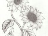 Sunflower Drawing Easy Step by Step 27 Best Sunflower Sketches Images Sunflower Sketches