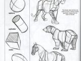 Weatherly Guide to Drawing Animals Pdf 192 Best Animals Horse Images Animal Drawings Horse