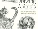 Weatherly Guide to Drawing Animals Pdf How to Draw Animals Step by Step Pdf