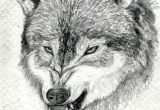 Wolf Drawing 8 How to Draw A Growling Wolf Step 15 Art Drawings Wolf Drawing